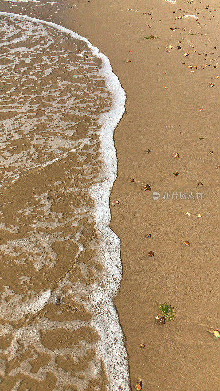 夏日的海滩，清澈平静的海浪拍打着海岸和金色的沙滩，蓝绿色的水反射着蓝天和涟漪，海滩度假，海浪泡沫/泡沫从潮汐和潮湿的沙子在阳光明媚的日子